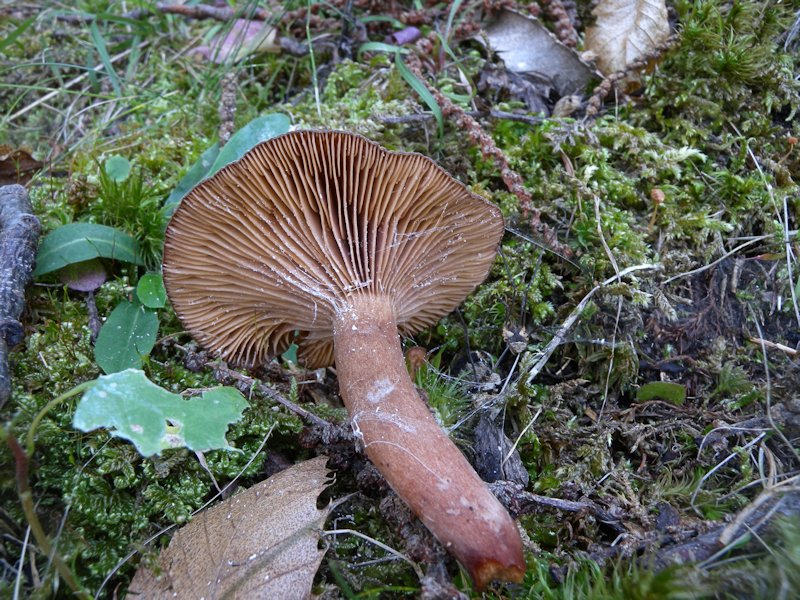 Forse l''ultima bellissima giornata..!!